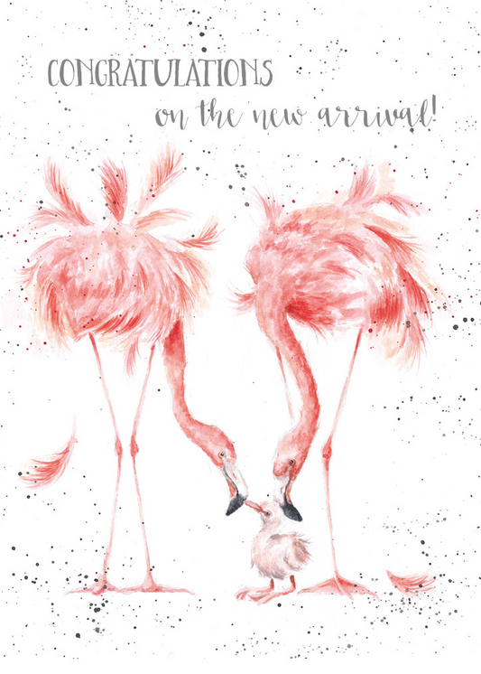'New Arrival' Flamingo Card