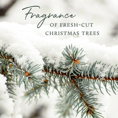 Frasier Fir Home Fragrance Mist