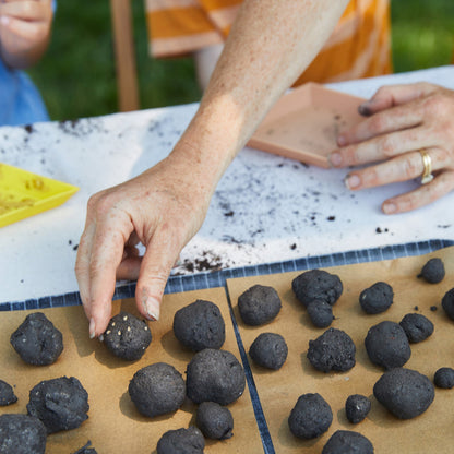 Wildflower Pollinator Seed Ball Kit