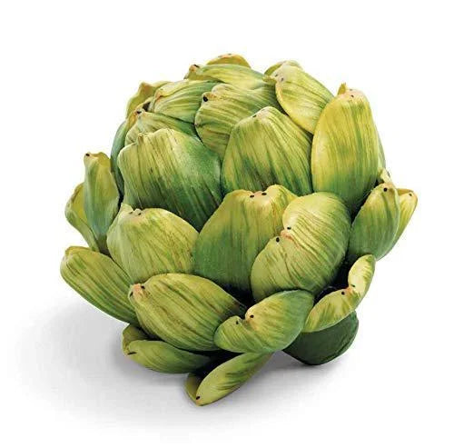 Green Artichoke
