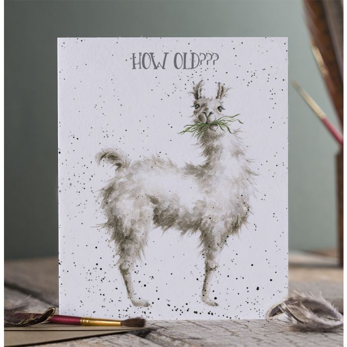 How Old?? Birthday Card