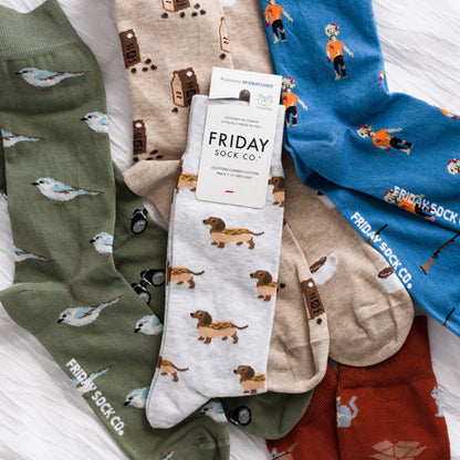 Men's Bird Watching Socks