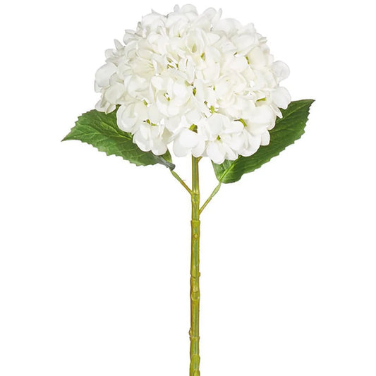 20” Soft Touch Hydrangea