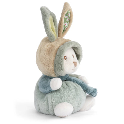 Ziggy the Benji Bunny