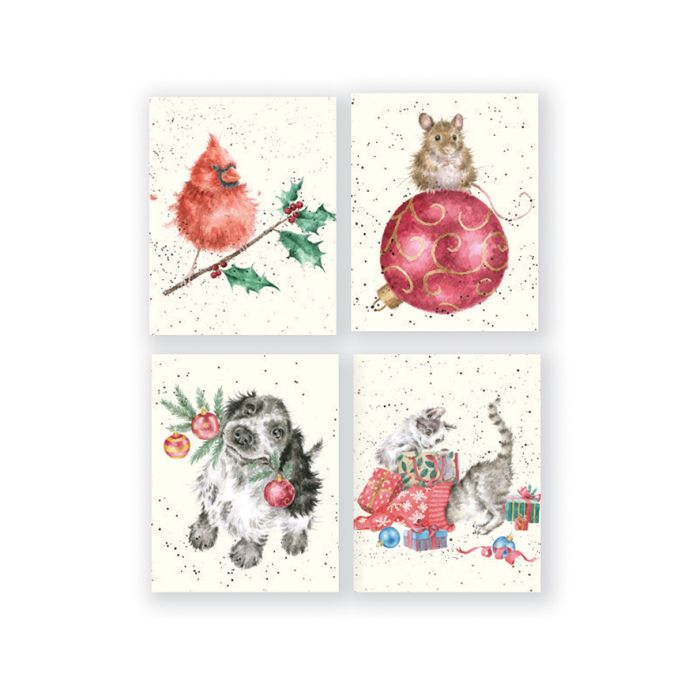 Charity Mini Boxed Card Set - Cardinal Bird Mouse Dog Cat