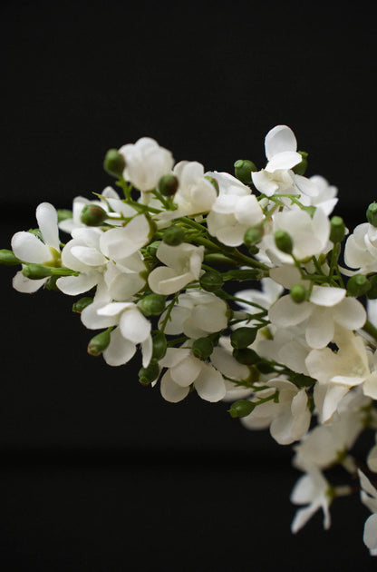 Delphinium Floral Stem - White