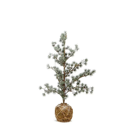 Frosted Elm Tree Small Green