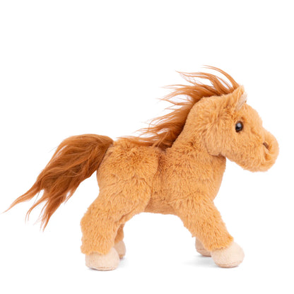 Baby Horse
