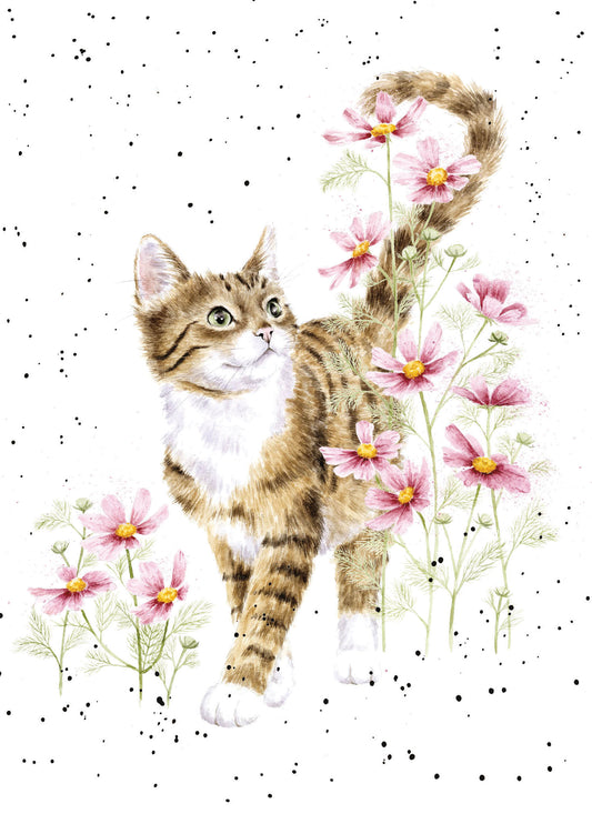 Harmony Cat Card