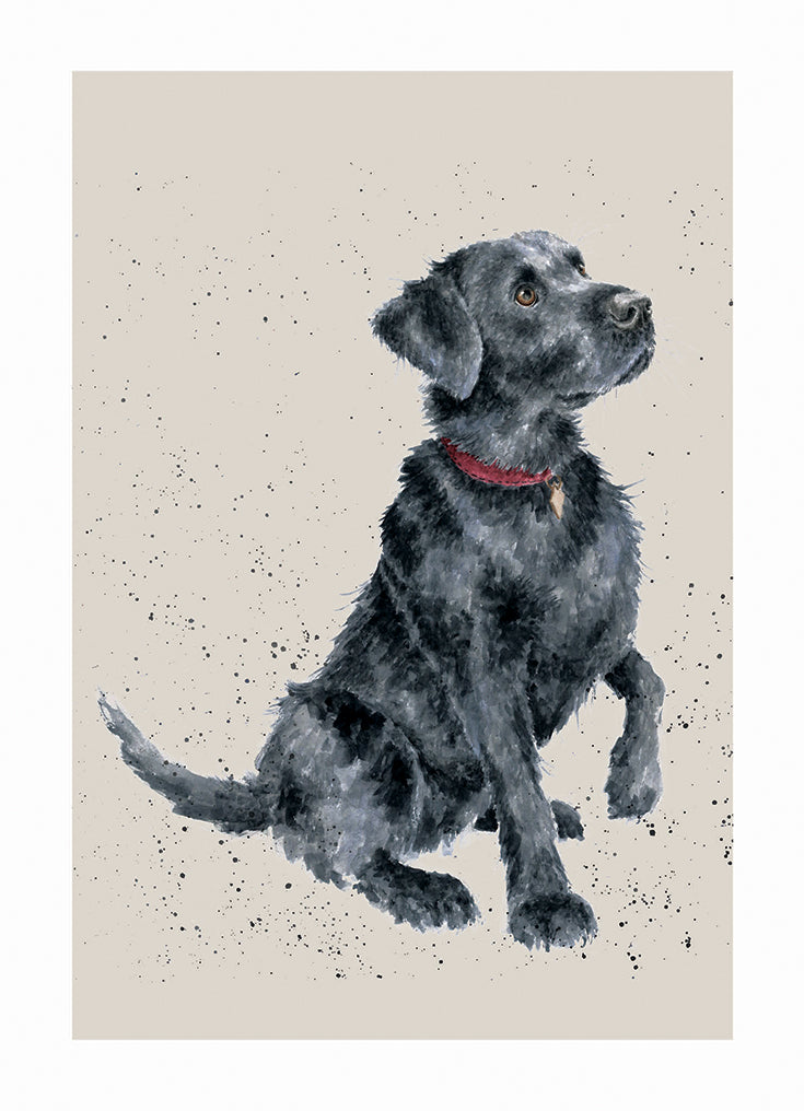 Black Labrador Single Card