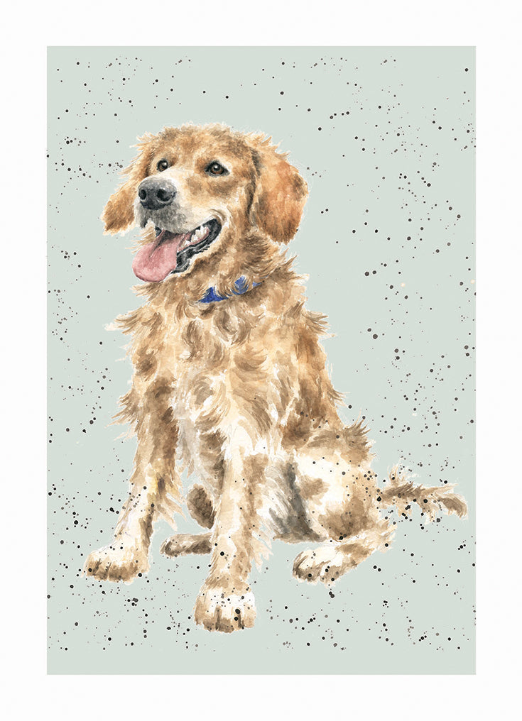 Golden Retriever Single Card