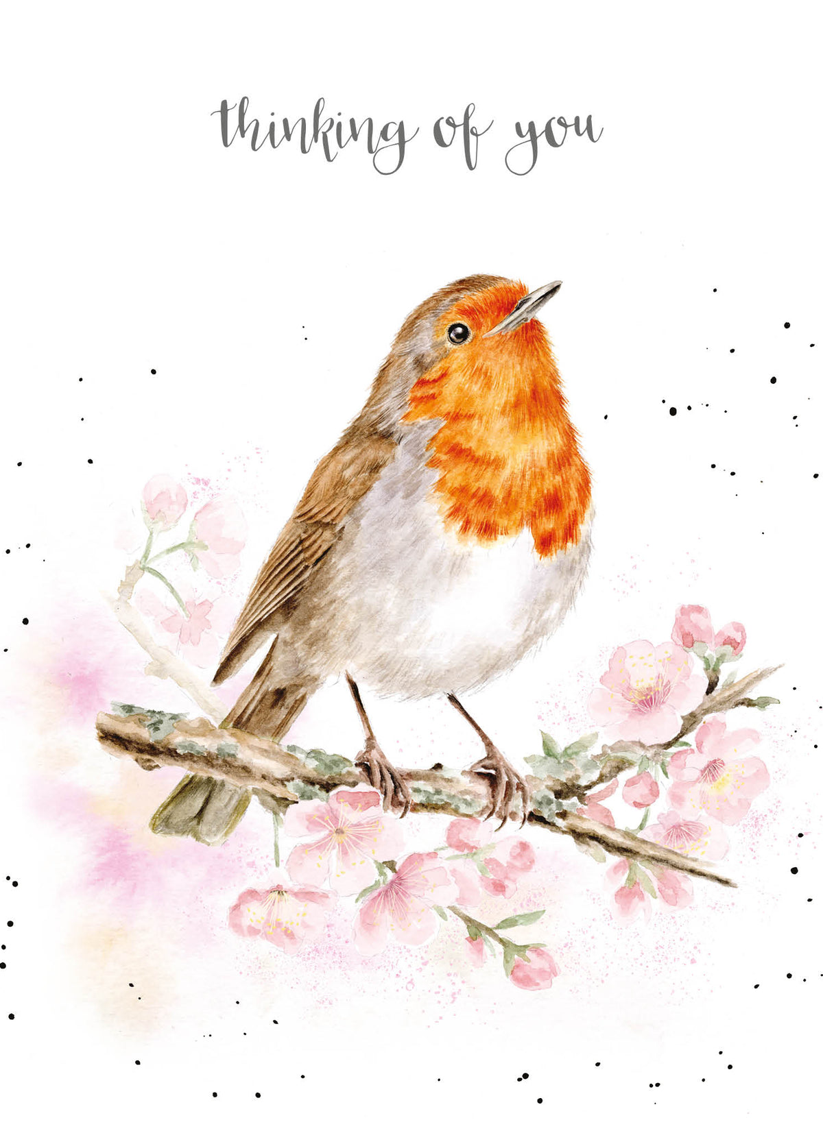 Sympathy "Thinking Of You" Robin’s Rest Card