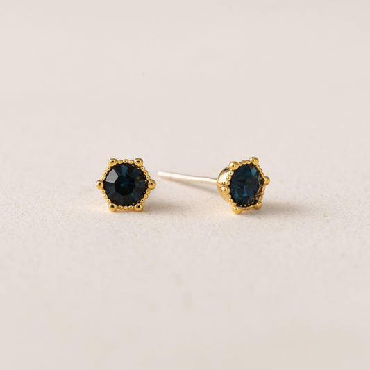 Astrid Stud Earrings - Montana