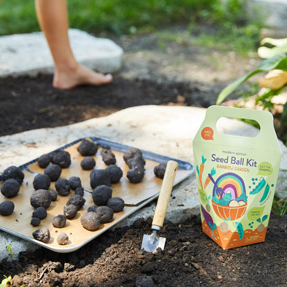 Wildflower Pollinator Seed Ball Kit