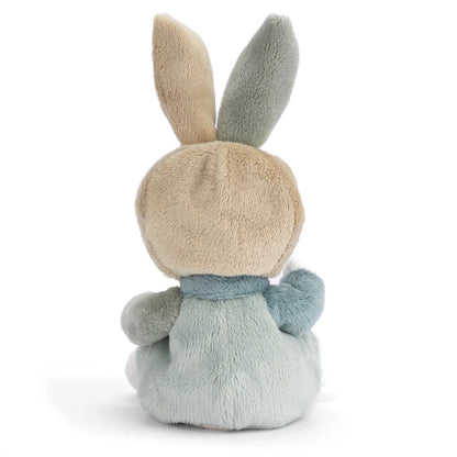 Ziggy the Benji Bunny