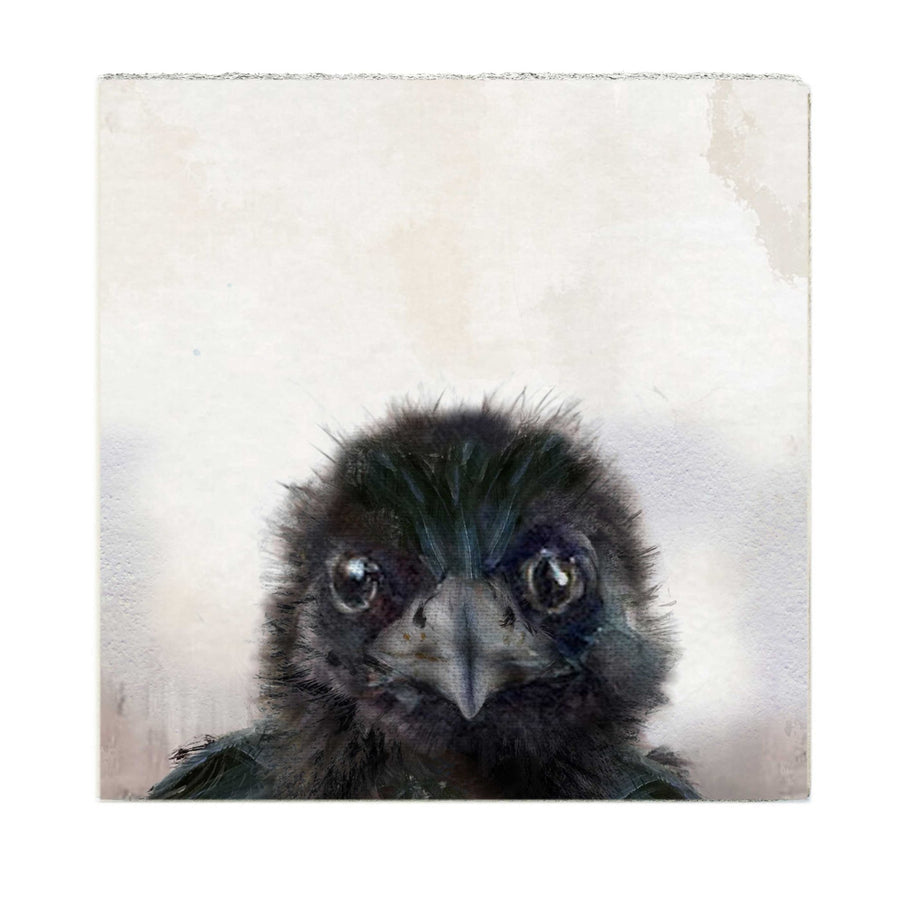 Baby Crow Art Block