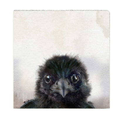 Baby Crow Art Block