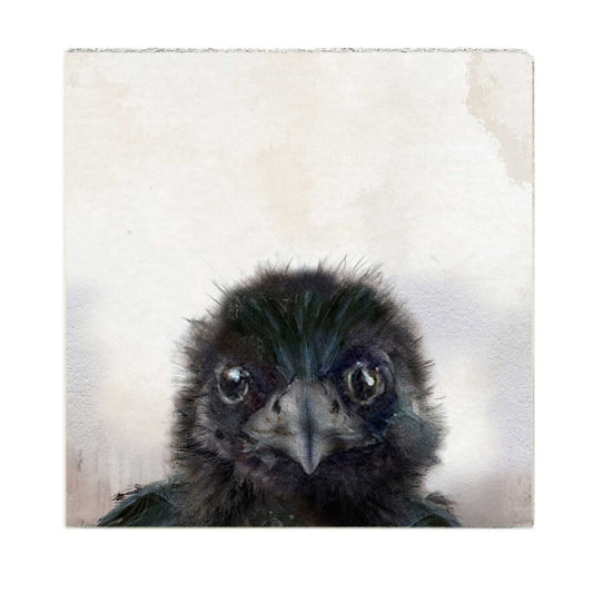 Baby Crow Art Block