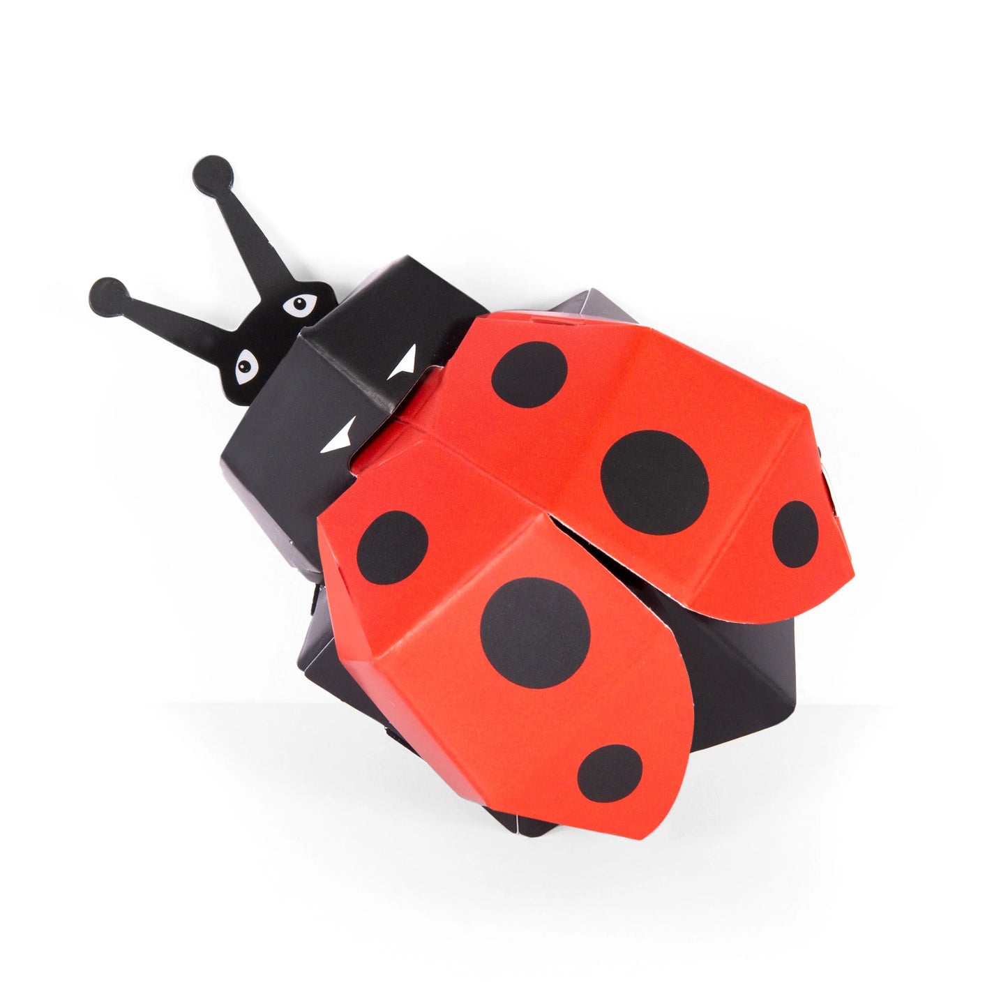 Ladybug Craft Kit & Game