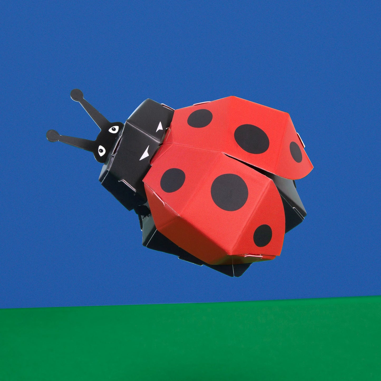 Ladybug Craft Kit & Game