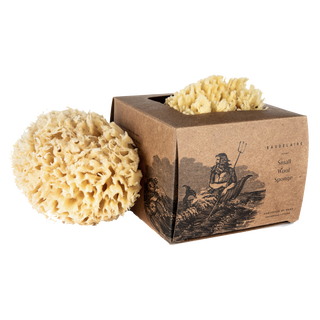 Wool Sponge Boxed Small