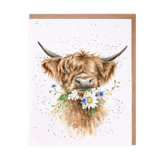 'Daisy Coo' Highland Card