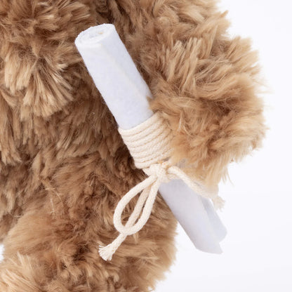 Graduation Bear