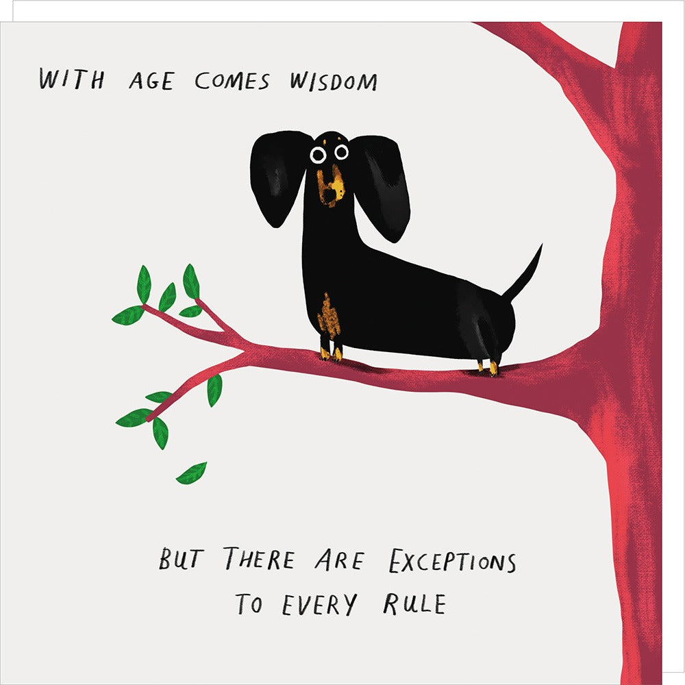 Wisdom Birthday Card