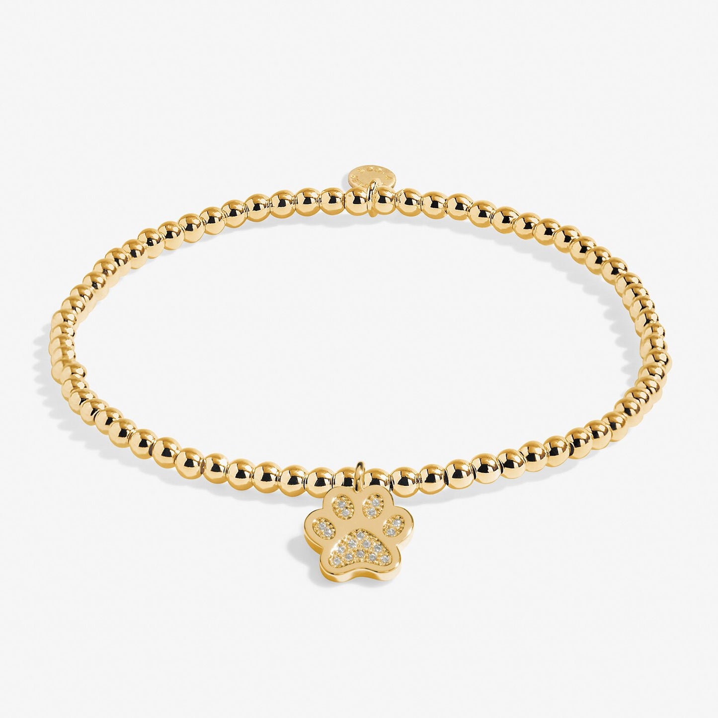 A Little 'Love Has Four Paws' Bracelet