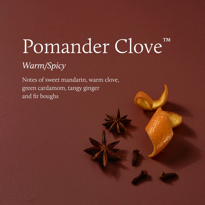 Pomander Clove Votive Candle