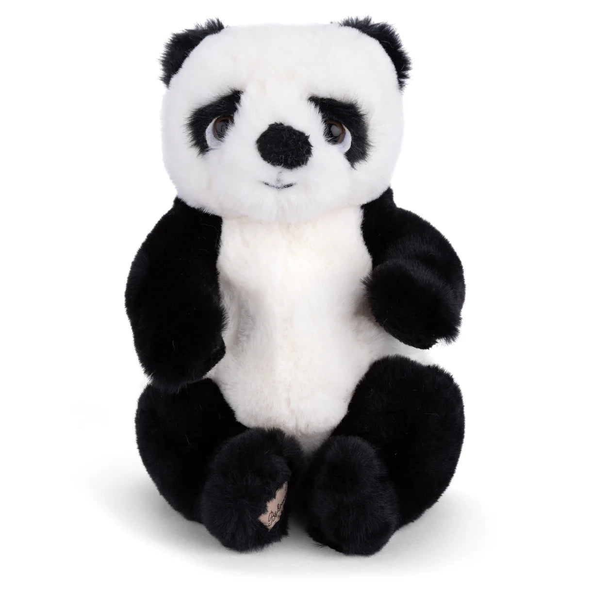Baby Jie Jie Panda