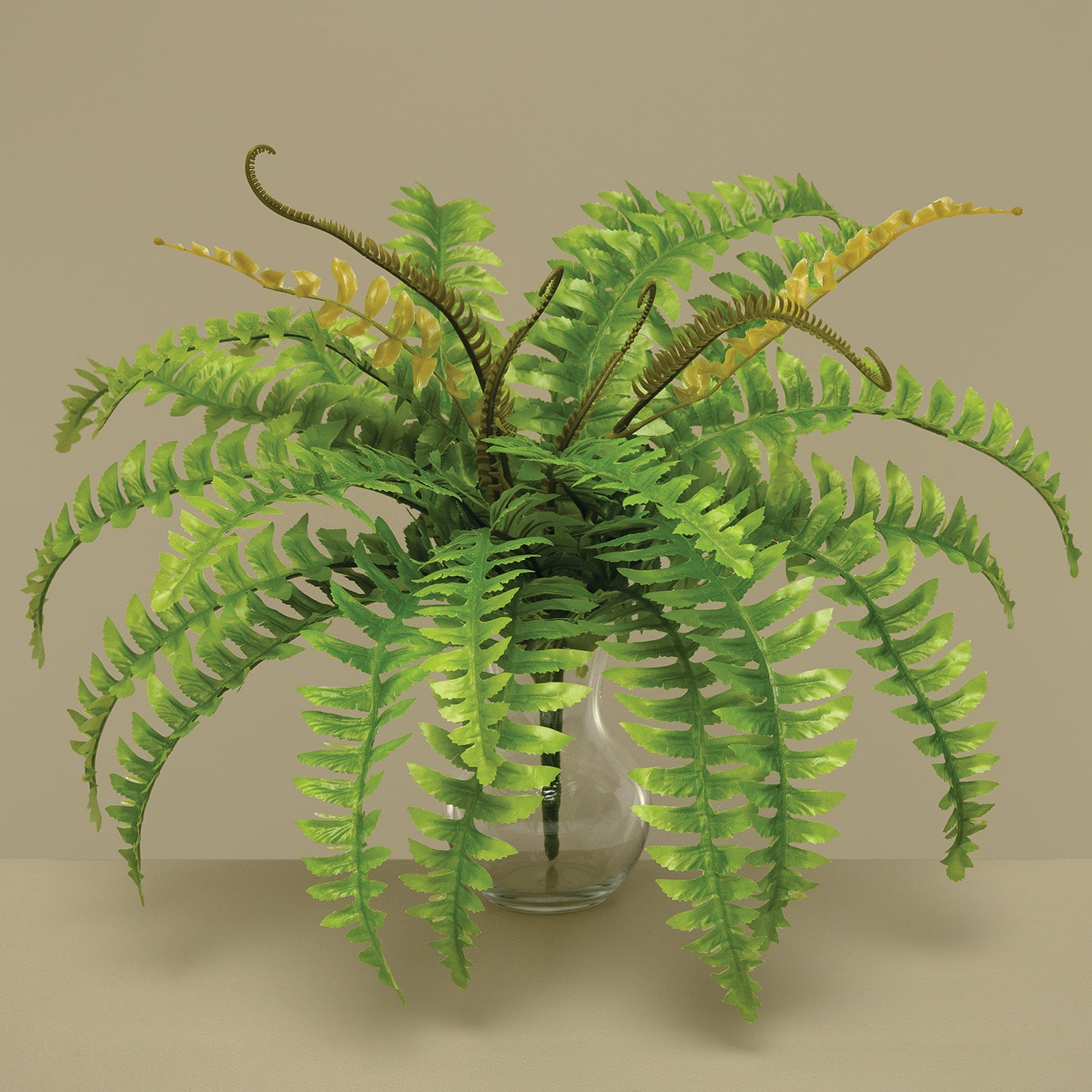 Boston Fern Spray 24"