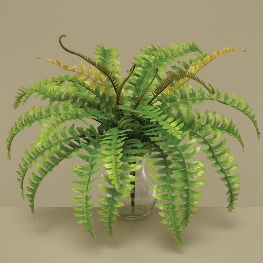 Boston Fern Spray 24"