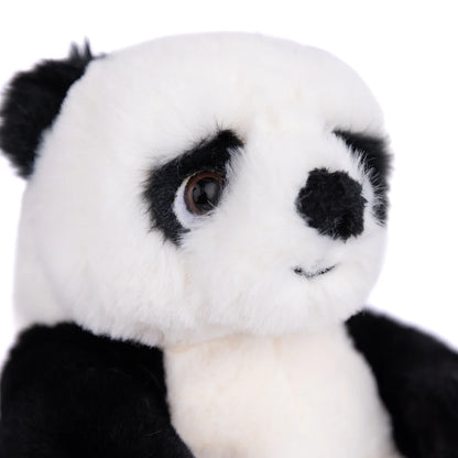Baby Jie Jie Panda