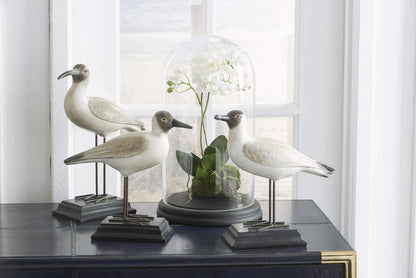 Cream and Brown Resin Seagulls with Metal Legs on Black Base