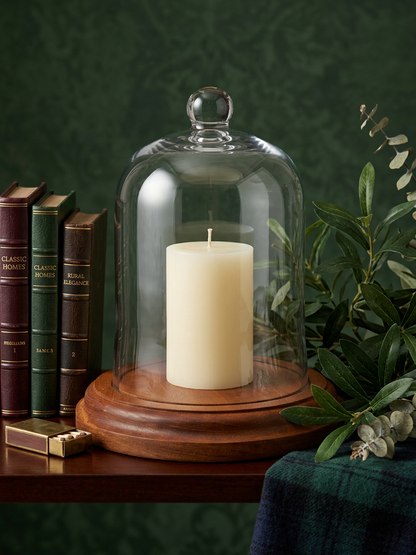 Glass Cloche with Wooden Base
