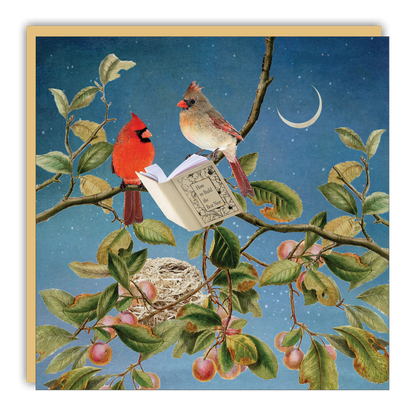 Gift Enclosure: Reading Cardinals