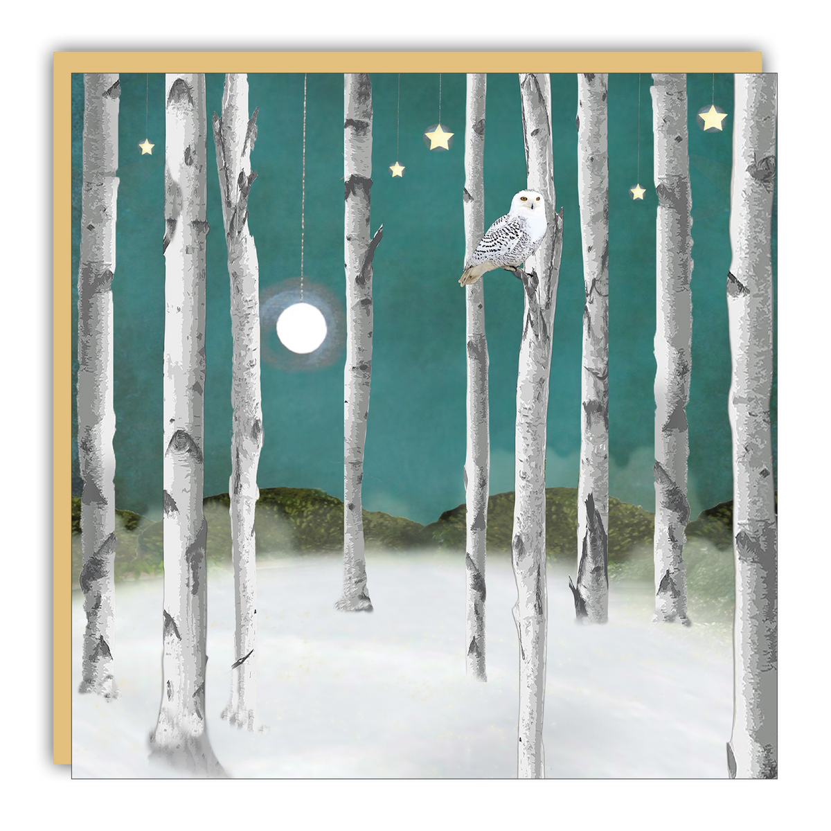 Gift Enclosure: Snow Owl