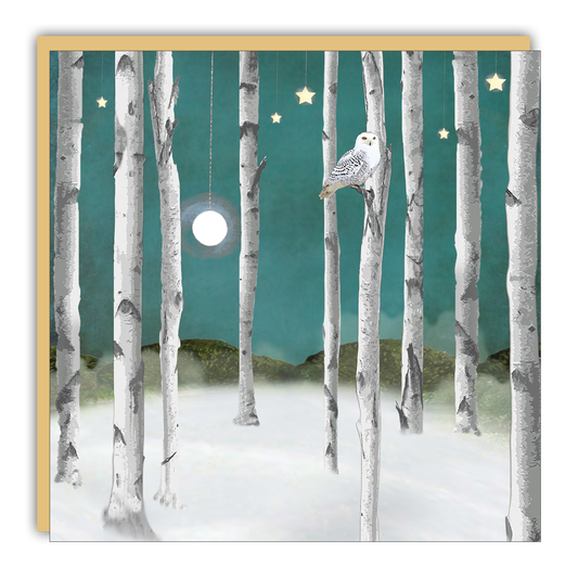 Gift Enclosure: Snow Owl