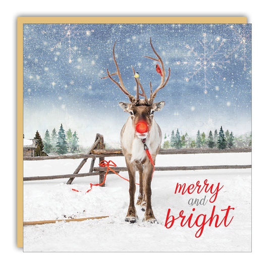 Gift Enclosure: Merry and Bright