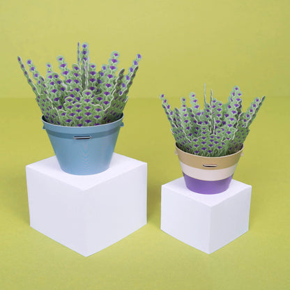 Lavender Paper Plant Kit