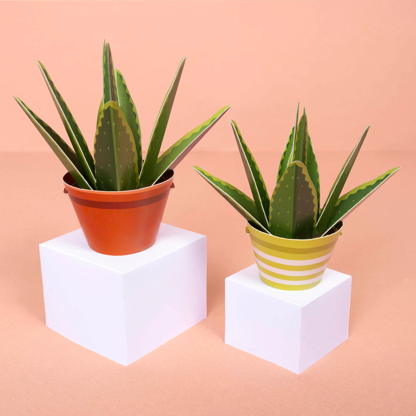 Aloe Vera Paper Plant Kit