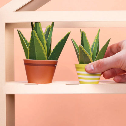 Aloe Vera Paper Plant Kit