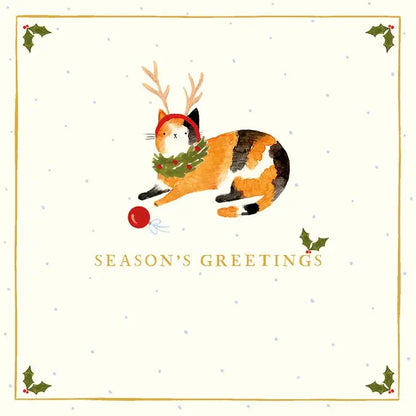 Christmas Cats - Set of 10 Cards