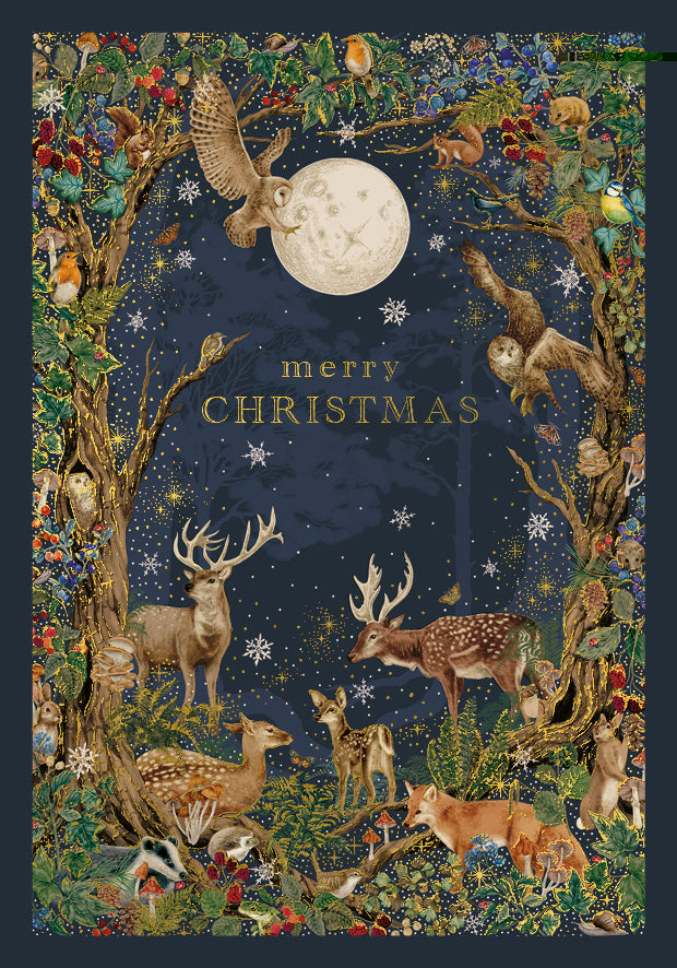 Merry Christmas Card