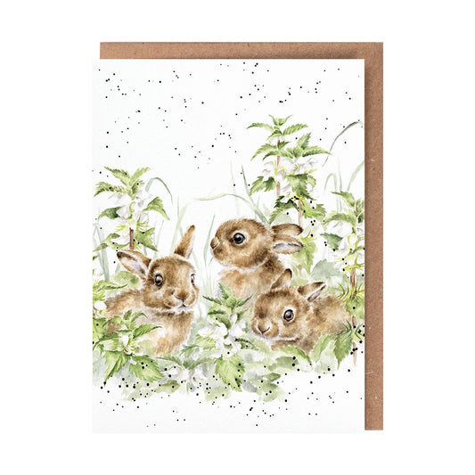 'Spring Hares' Leveret Card