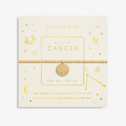 A Little 'Star Sign' Horoscope Bracelet
