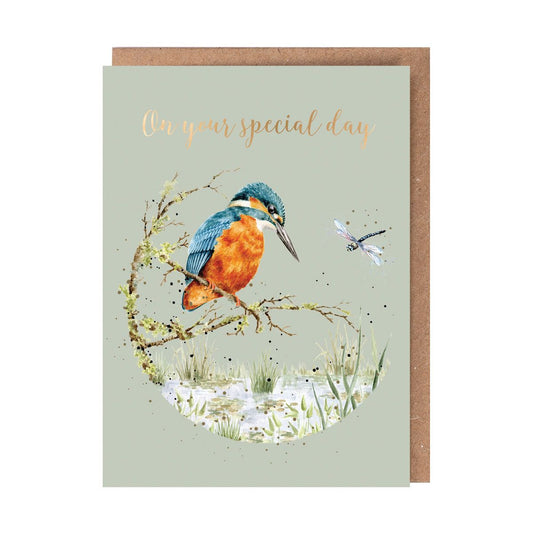 'Pond Dipping' Kingfisher Birthday Card