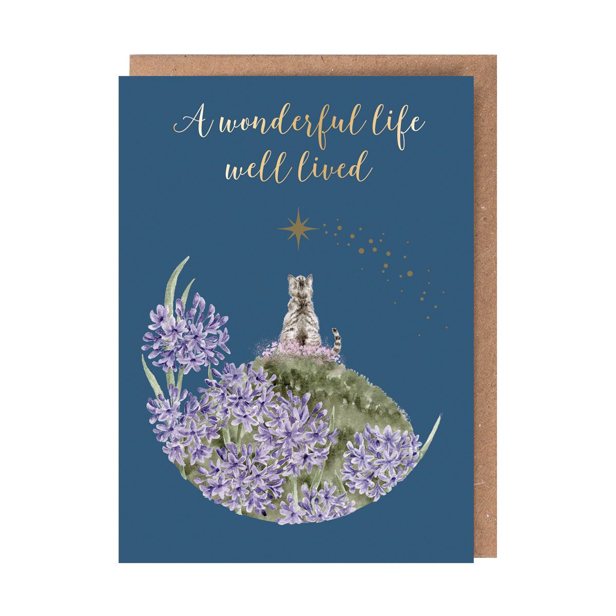 'A Forever Friend' Cat Pet Sympathy Card