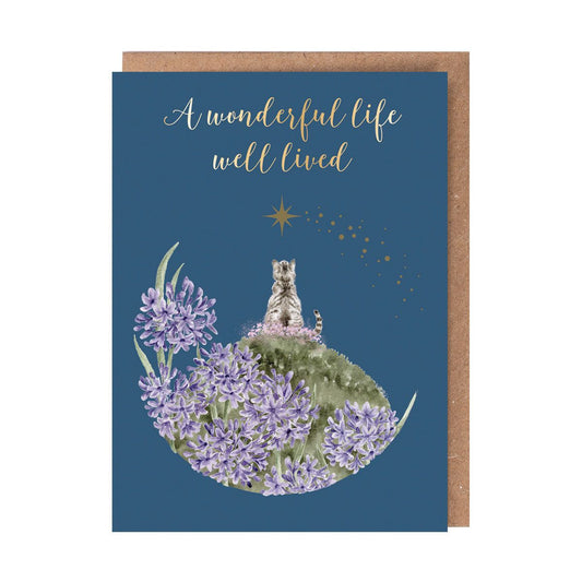 'A Forever Friend' Cat Pet Sympathy Card